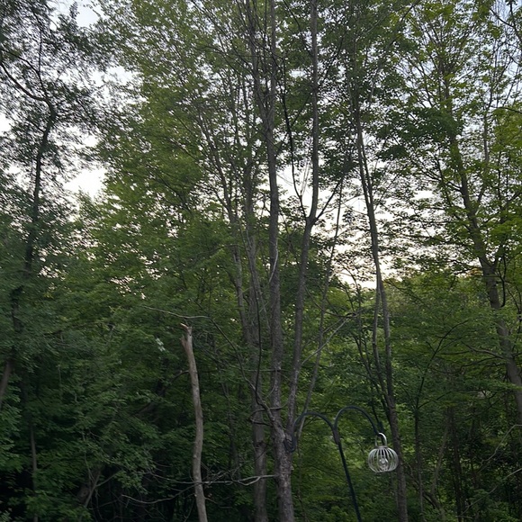 Meet your Posher, JB - Picture 2 of 2